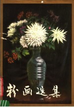 粉画选集