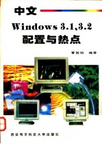 中文 Windows 3.1、3.2配置与热点