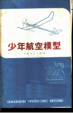 少年航空模型