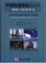 中国能源报告 2006 战略与政策研究