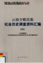 云南少数民族社会历史调查资料汇编 4