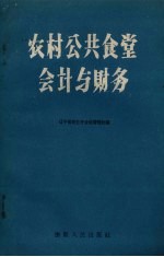 农村公共食堂会计与财务