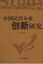 中国民营企业创新研究