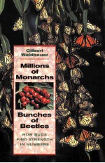 MILLIONS OF MONARCHS