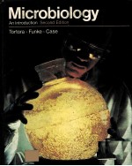 MICROBIOLOGY AN INTRODUCTION SECOND EDITION