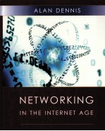 NETWORKING IN THE INTERNET AGE