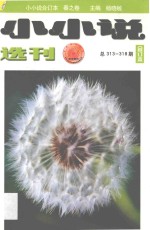 小小说选刊 总313-318期 合订本 春之卷