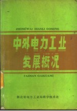 中外电力工业发展概况