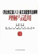 《刑法修正案（八）》条文及配套司法解释理解与适用