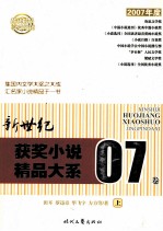 新世纪获奖小说精品大系07卷 上