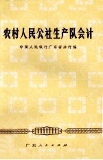 农村人民公社生产队会计