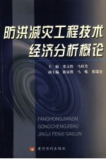 防洪减灾工程技术经济分析概论