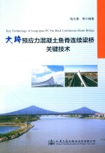 大跨预应力混凝土鱼脊连续梁桥关键技术