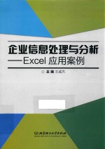 企业信息处理与分析 Excel应用案例