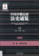 中国少数民族法史通览  第3卷  回族  维吾尔族