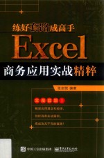 练好套路成高手 Excel商务应用实战精粹