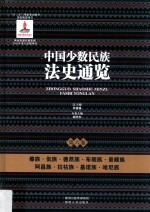 中国少数民族法史通览  第6卷  傣族  佤族  德昂族  布朗族  景颇族  阿昌族  拉祜族  基诺族  哈尼族