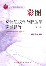 彩图动物组织学与胚胎学实验指导