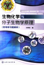 生物化学与分子生物学原理