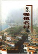 山东强镇名村志 2002