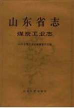 山东省志 第38卷 煤炭工业志 下