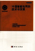 中国智能电网的技术与发展