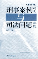 刑事案例研究与司法问题释疑 第5辑