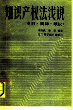 知识产权法浅说 专利·商标·版权