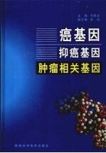 癌基因抑癌基因肿瘤相关基因