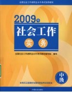 社会工作实务  2009年  中级