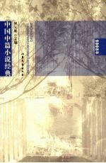 中国中篇小说经典 2008