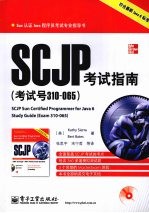 SCJP考试指南(考试号310-065)