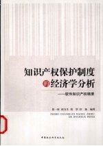 知识产权保护制度的经济学分析：软件知识产权精要