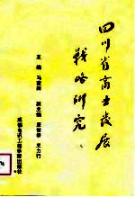 四川省商业发展战略研究