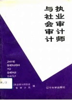 执业审计师与社会审计