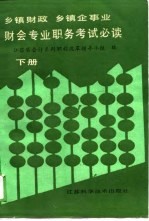 乡镇财政 乡镇企事业 财会专业职务考试必读 下