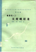 四川自贡大山铺中侏罗世恐龙动物群 第4集 蜥脚类 2 天府峨眉龙