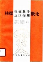 核爆电磁脉冲远区探测概论