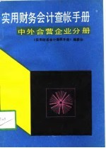 实用财务会计查帐手册 中外合营企业分册