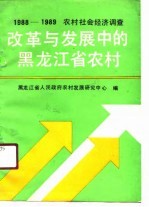 改革与发展中的黑龙江省农村 1988-1989年农村社会经济调查