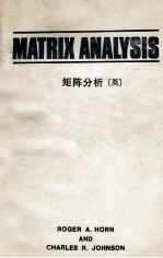 MATRIX ANALYSIS