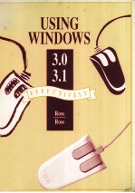 Using Windows 3.0