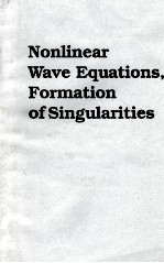 NONLINEAR WAVE EQUATIONS