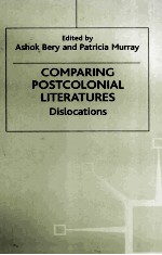 Comparing Postcolonial Literatures Dislocations