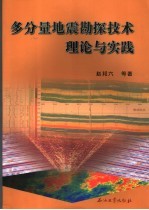 多分量地震勘探技术理论与实践