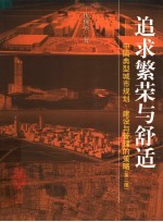 追求繁荣与舒适 中国典型城市规划、建设与管理的策略 第2版