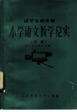 小学语文教学纪实 续编