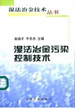 湿法冶金污染控制技术