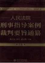 人民法院刑事指导案例裁判要旨通纂 上卷