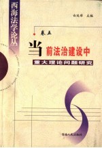 当前法治建设中重大理论问题研究 青海省法学会2004年度立项课题研究成果集